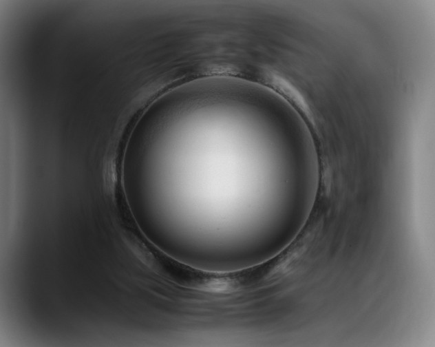 X0000089350059200706151109