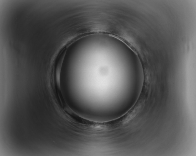 X0000089350060200706151109