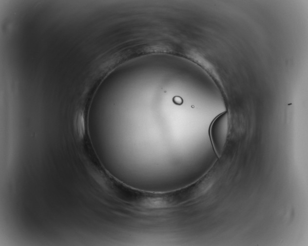 X0000089350061200706151109