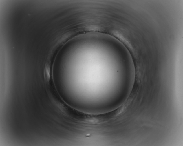 X0000089350062200706151109
