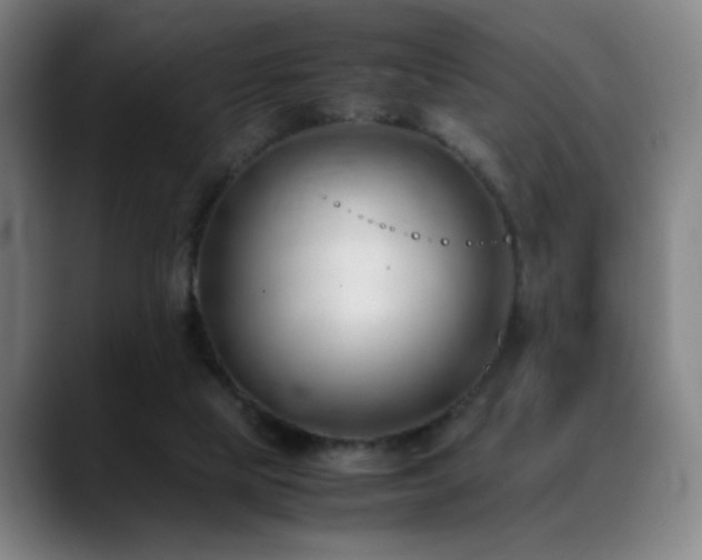 X0000089350065200706151109