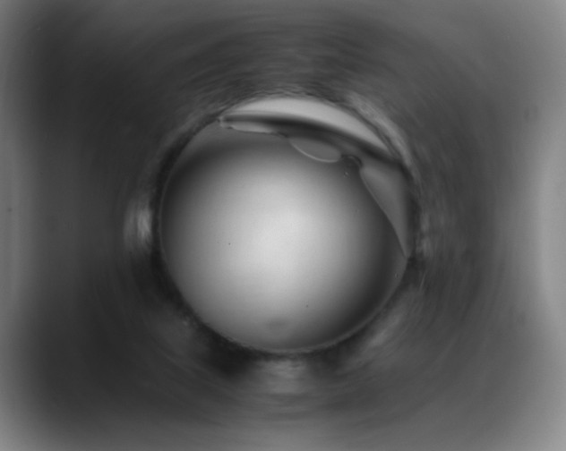 X0000089350067200706151109