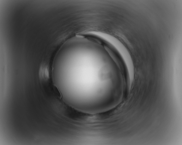 X0000089350068200706151109