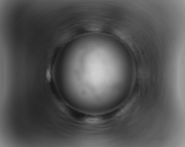 X0000089350069200706151109