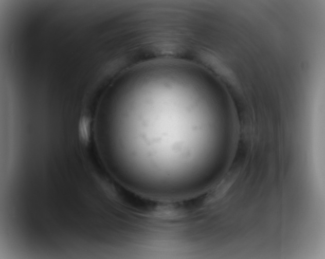 X0000089350070200706151109