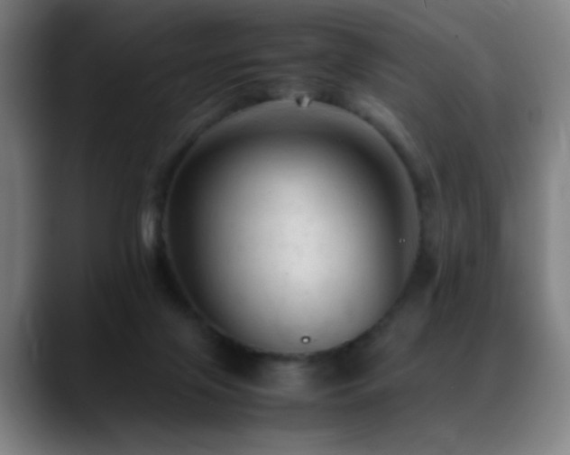 X0000089350071200706151109
