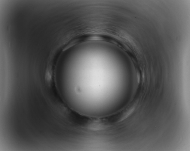 X0000089350072200706151109