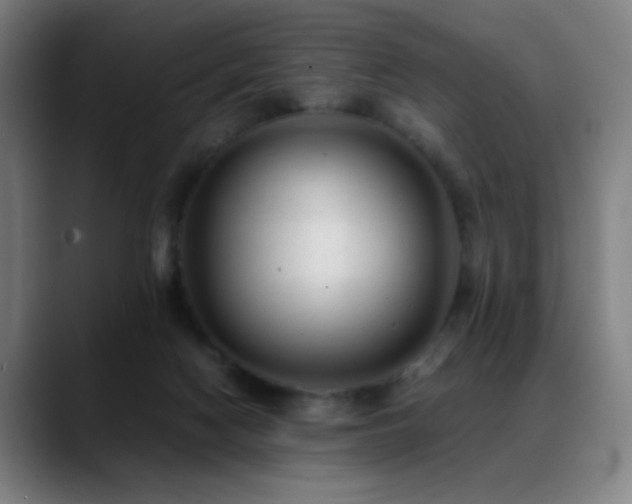 X0000089350074200706151109