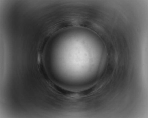 X0000089350075200706151109