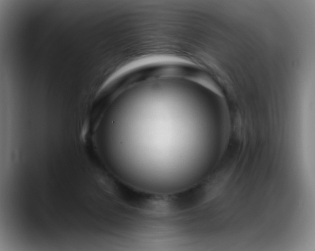 X0000089350076200706151109