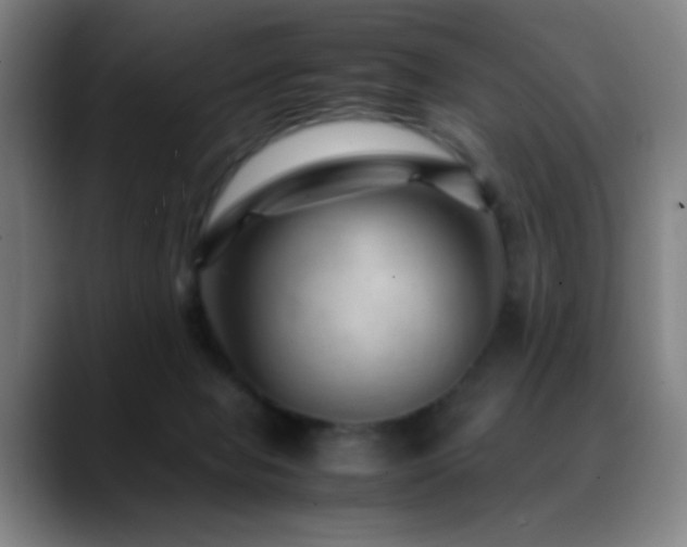 X0000089350077200706151109