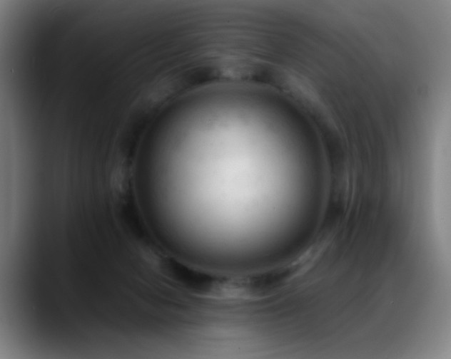 X0000089350078200706151109