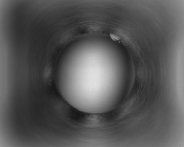 X0000089350079200706151109