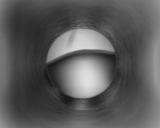 X0000089350081200706151109