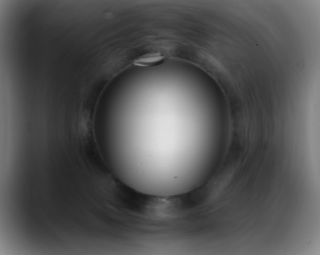 X0000089350083200706151109