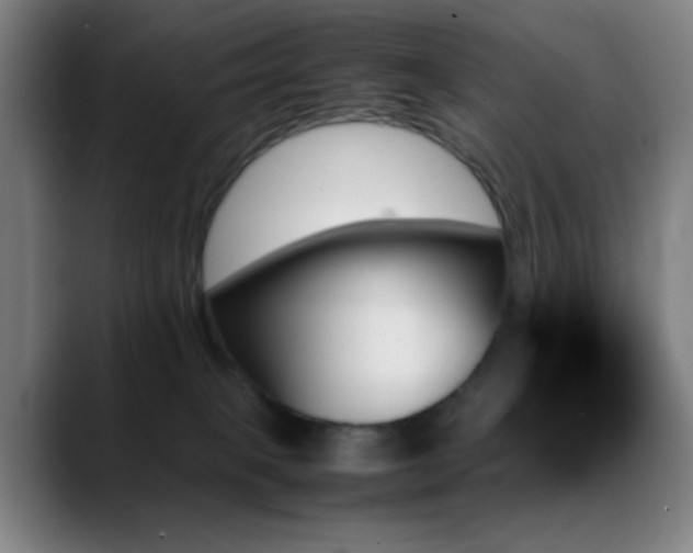 X0000089350085200706151109