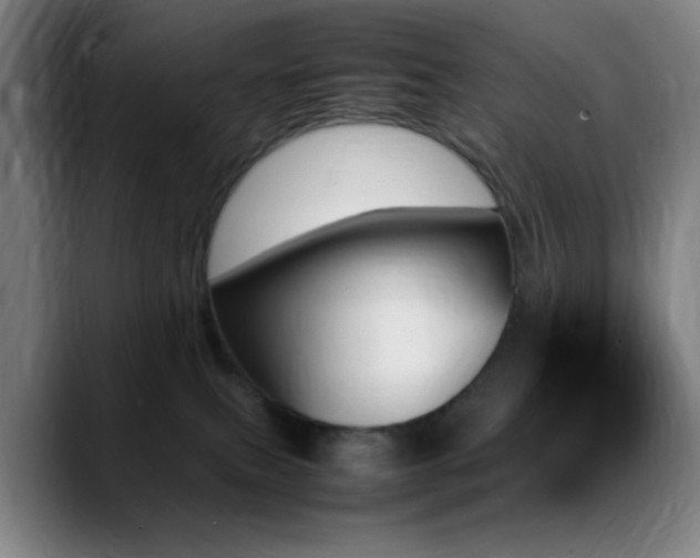 X0000089350087200706151109