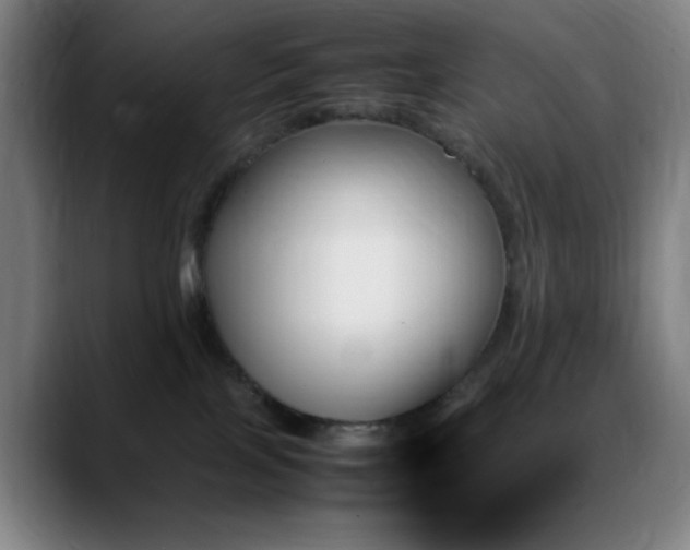 X0000089350089200706151109