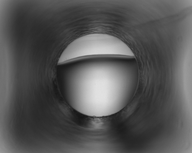 X0000089350091200706151109