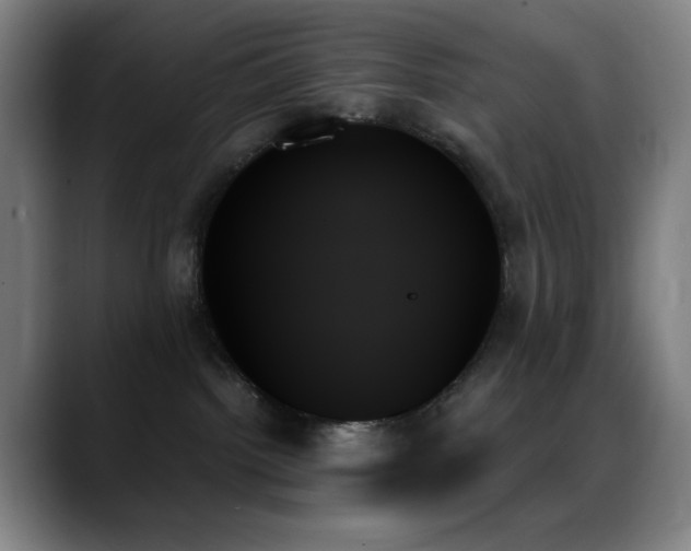 X0000089350092200706151109