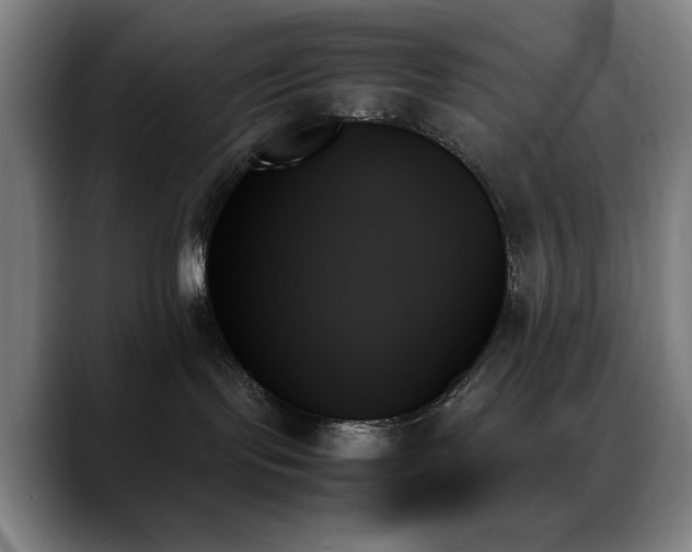 X0000089350095200706151109