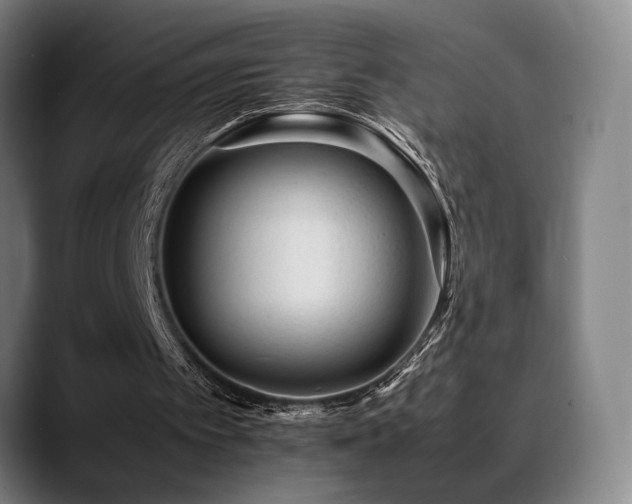 X0000089350097200706151108