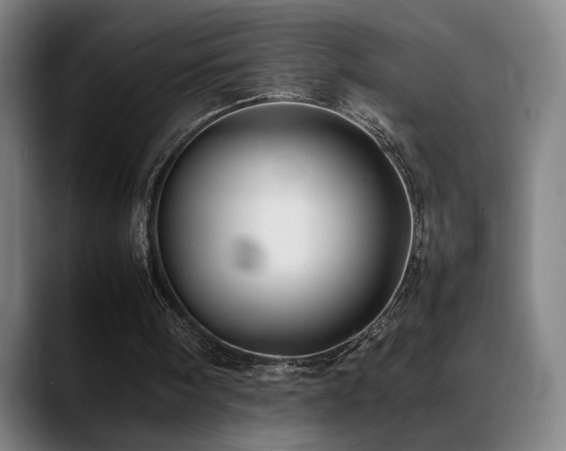 X0000089350098200706151108