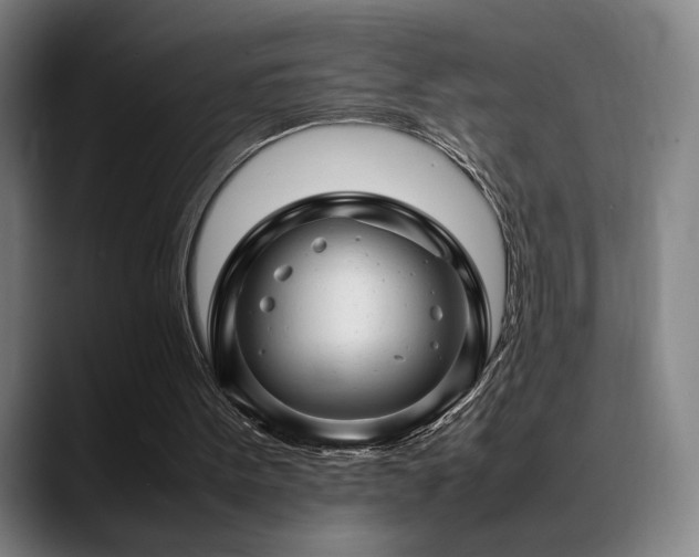 X0000089350099200706151108