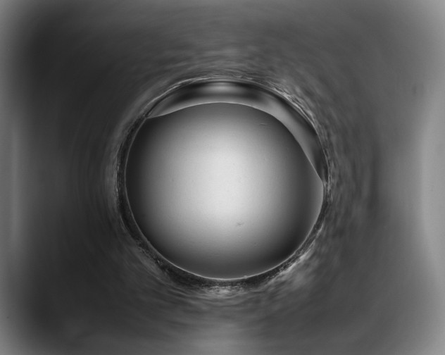 X0000089350101200706151108