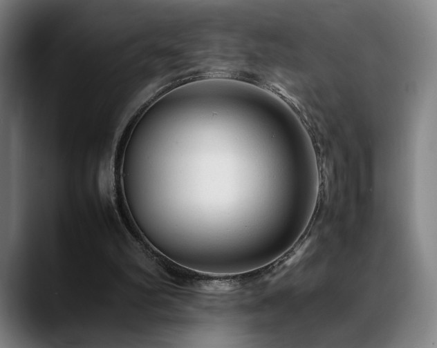 X0000089350102200706151108