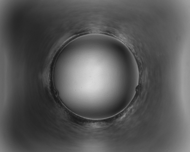X0000089350103200706151108
