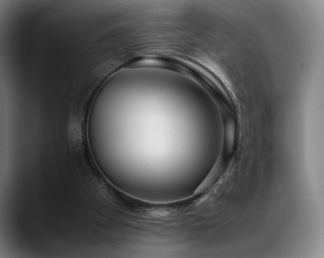 X0000089350105200706151108