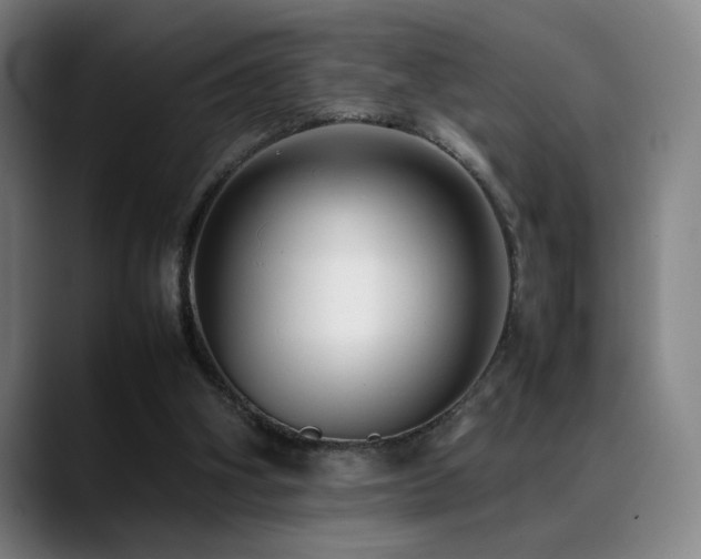 X0000089350106200706151108