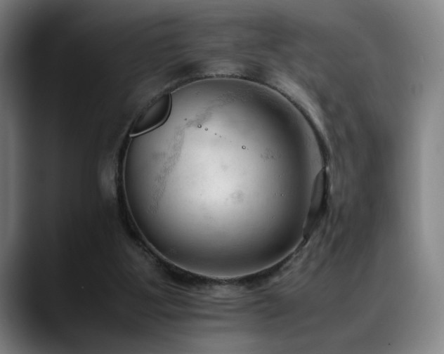 X0000089350107200706151108