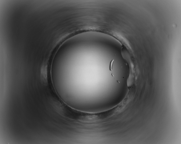 X0000089350108200706151108