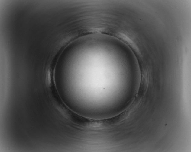 X0000089350110200706151108