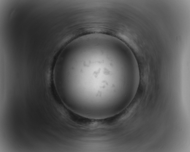 X0000089350111200706151108