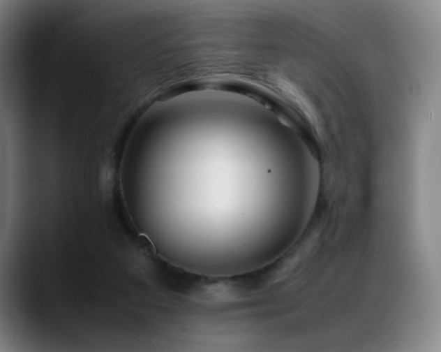 X0000089350113200706151108