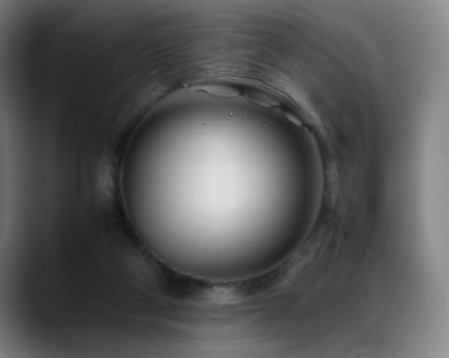 X0000089350114200706151108