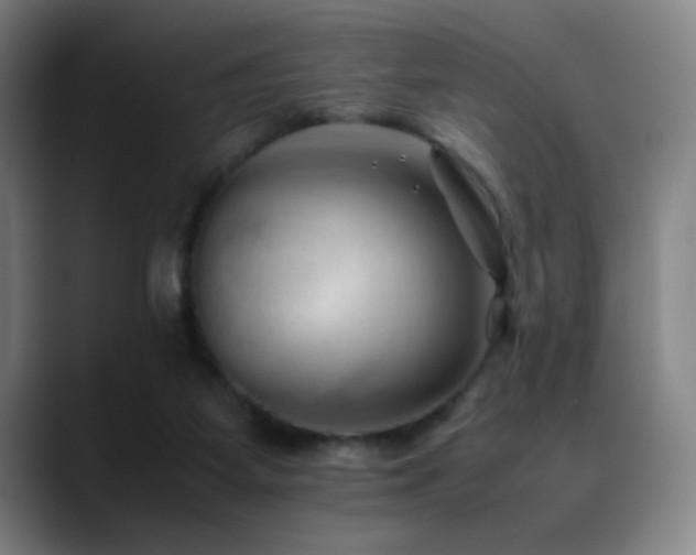 X0000089350115200706151108