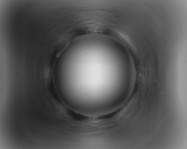 X0000089350121200706151108