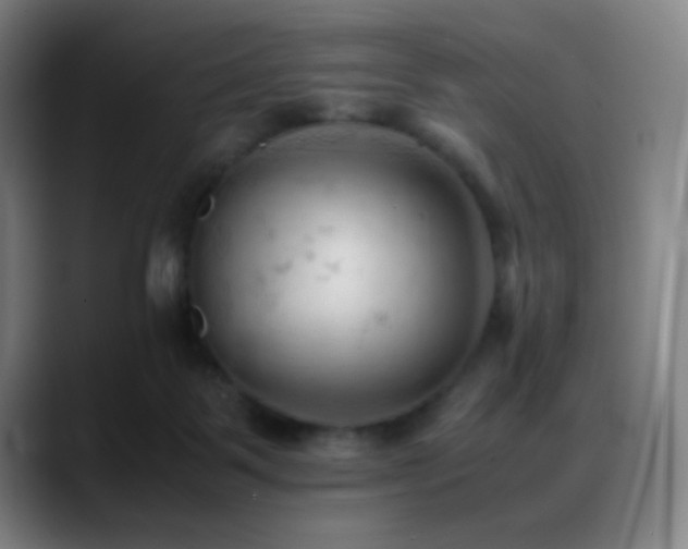 X0000089350123200706151108