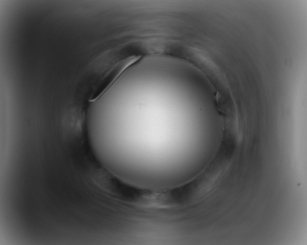X0000089350125200706151108