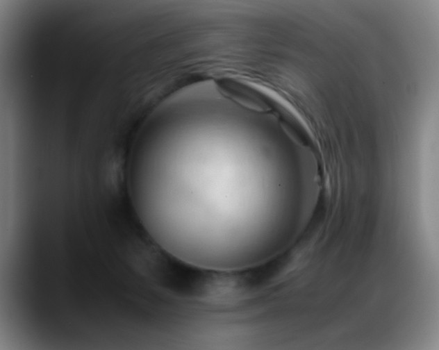 X0000089350127200706151108