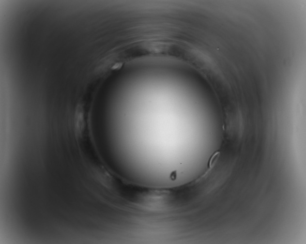 X0000089350128200706151108
