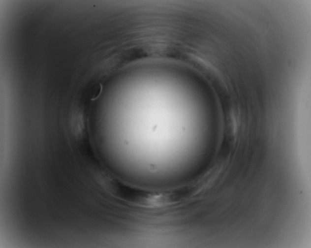 X0000089350130200706151108