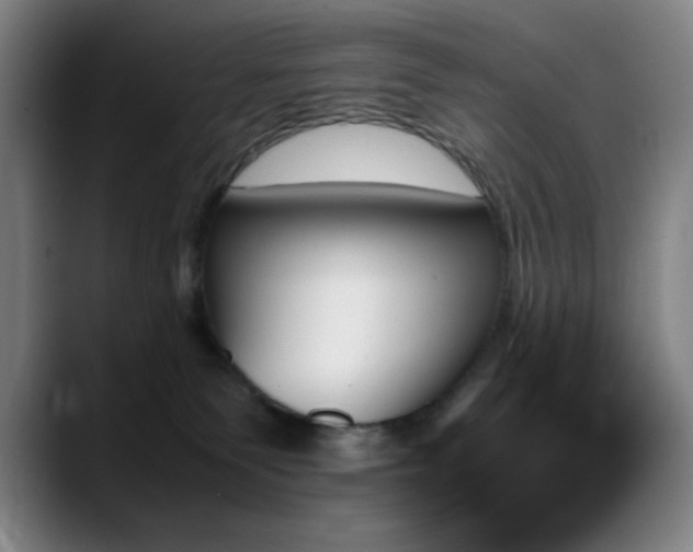 X0000089350135200706151108