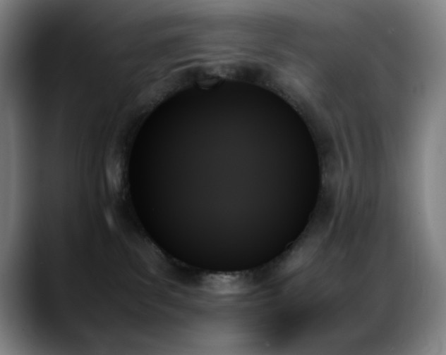 X0000089350139200706151108
