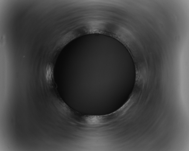 X0000089350142200706151108