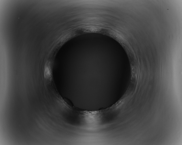 X0000089350143200706151108